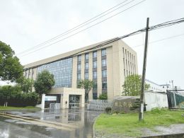 点击放大